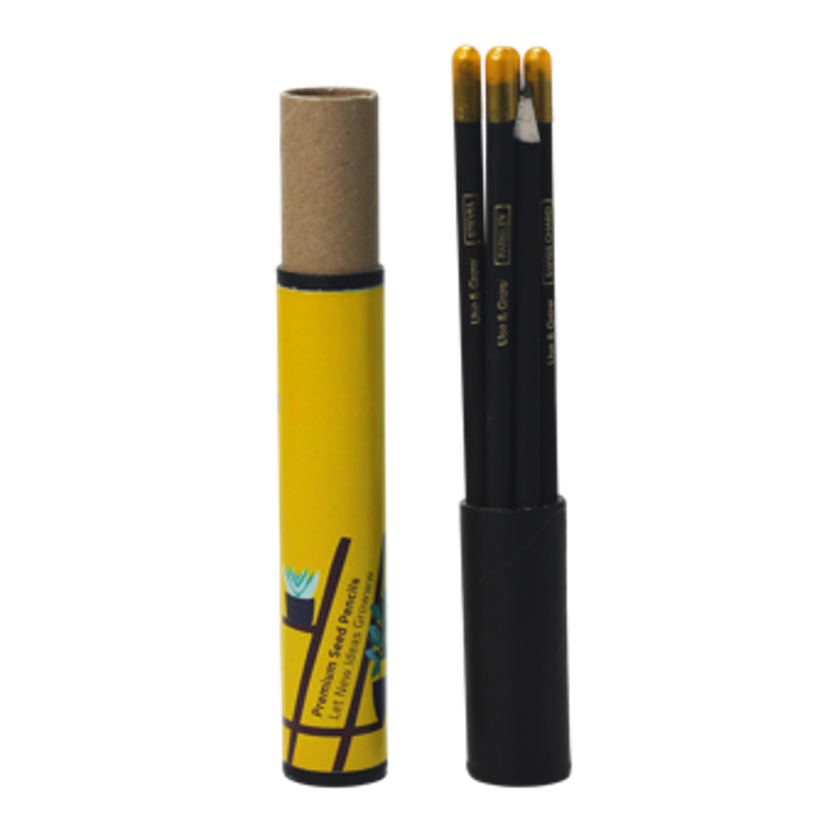 Plantable Pencil Sets