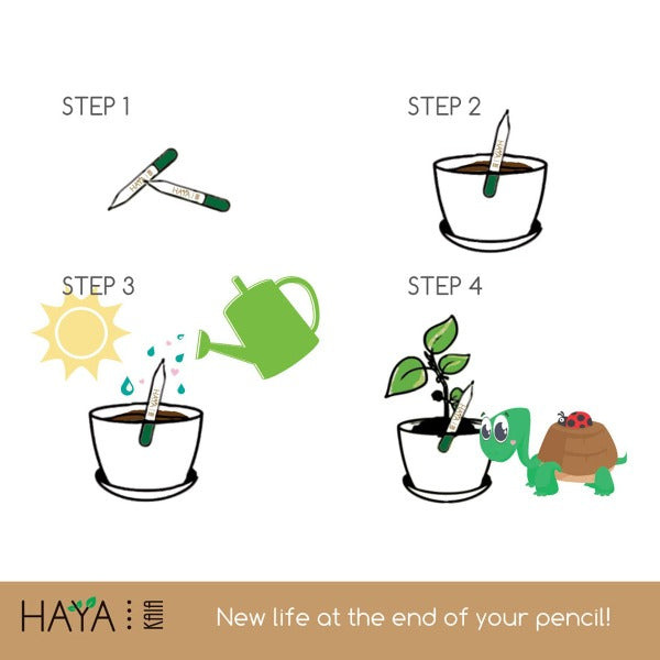 Plantable Seed Pencils (Set of 5)