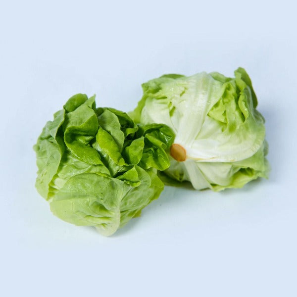 Weekly Salad Box Subscription - Medium (3-4 people)