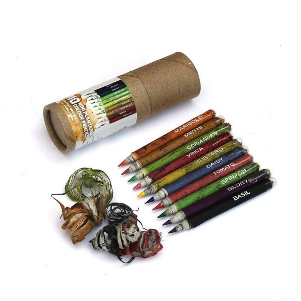 Mini Colored Eco-friendly Plantable Pencils (Set of 10)